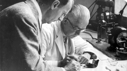 K. Oakley - in stanga piltdown fluorine test