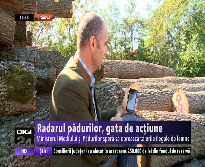 digi 24.ro, radarul padurilor, alinlesub.wordpress.com, Alin Les 2014