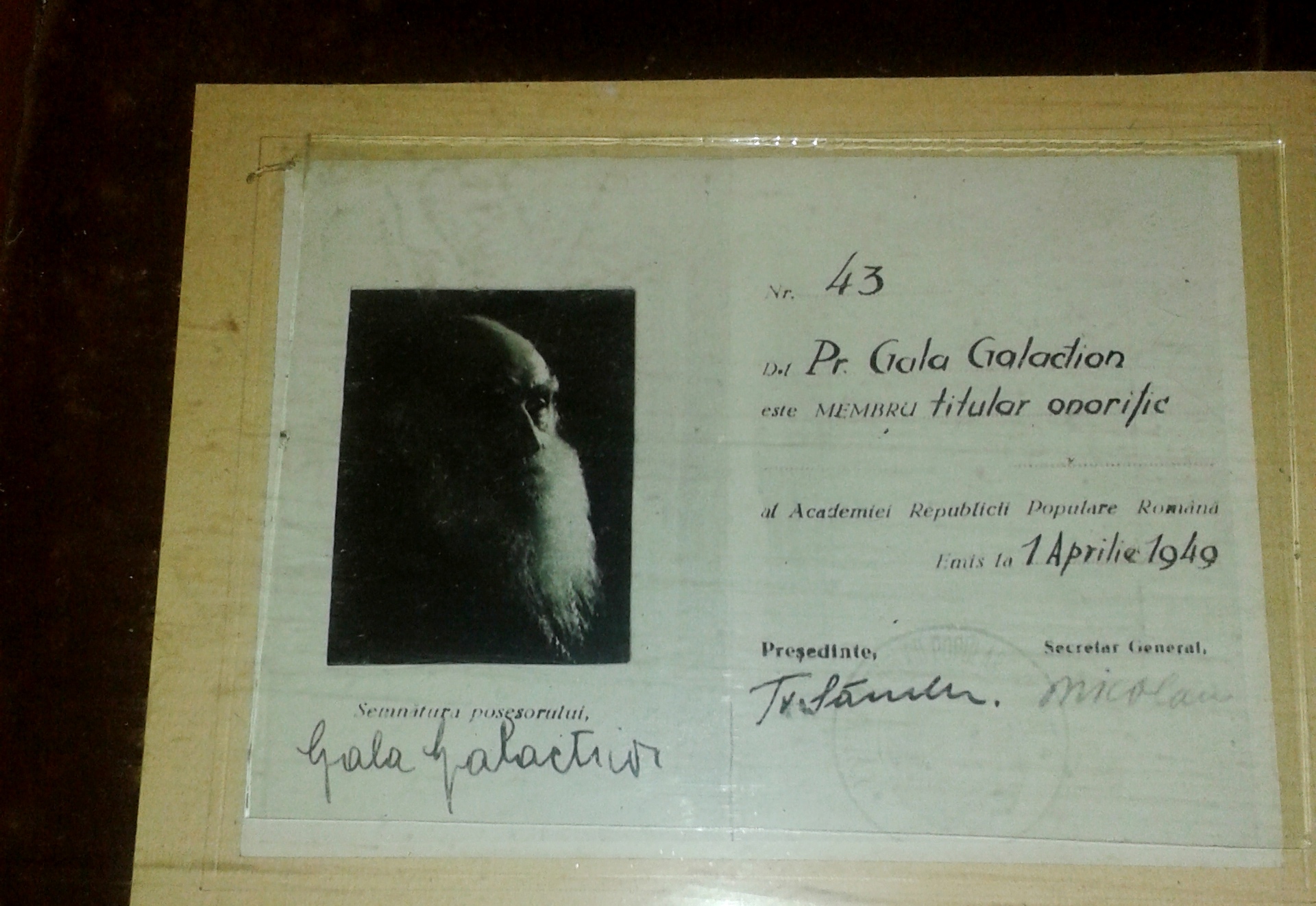 Alin Les, criminologie culturala. 2015. Toate drepturile rezervate (3)